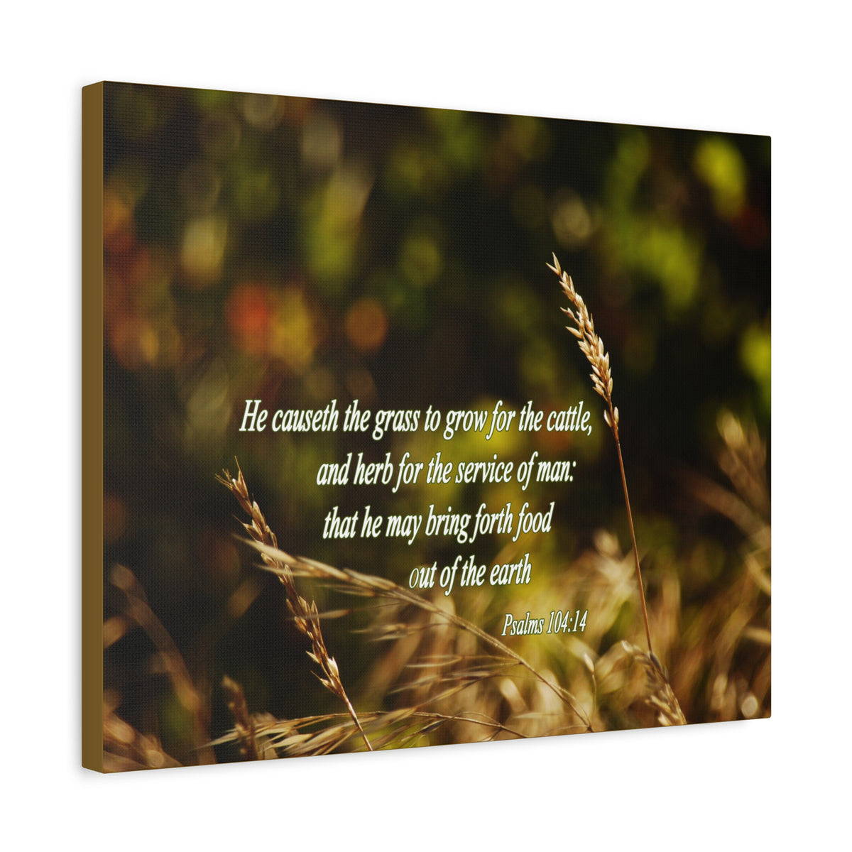 Scripture Canvas He May Bring Forth Psalms 104:14 Christian Wall Art Bible Verse Print Ready to Hang