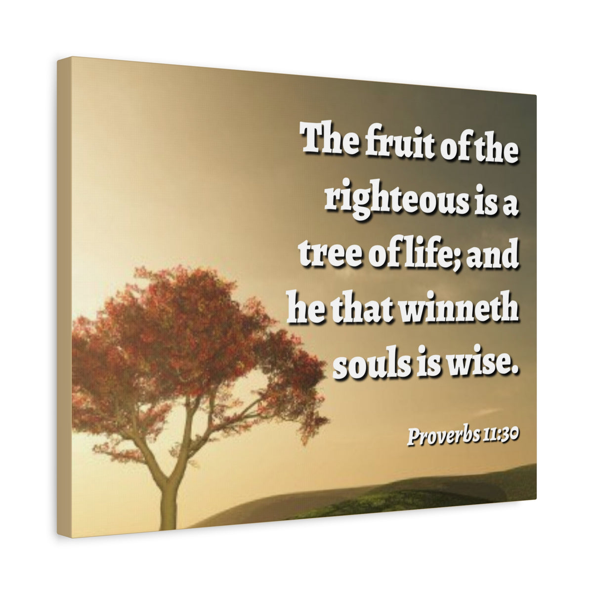 Scripture Canvas Tree Of Life Proverbs 11:30 Christian Wall Art Bible Verse Print Ready to Hang