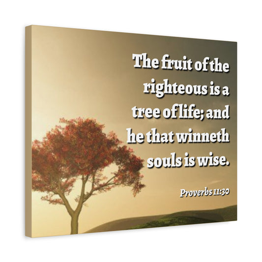Scripture Canvas Tree Of Life Proverbs 11:30 Christian Wall Art Bible Verse Print Ready to Hang