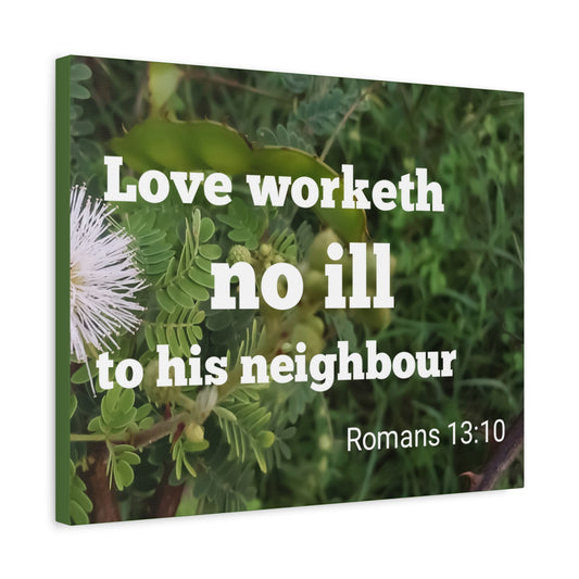 Scripture Canvas Neighbor Romans 13:10 Christian Wall Art Bible Verse Print Ready to Hang