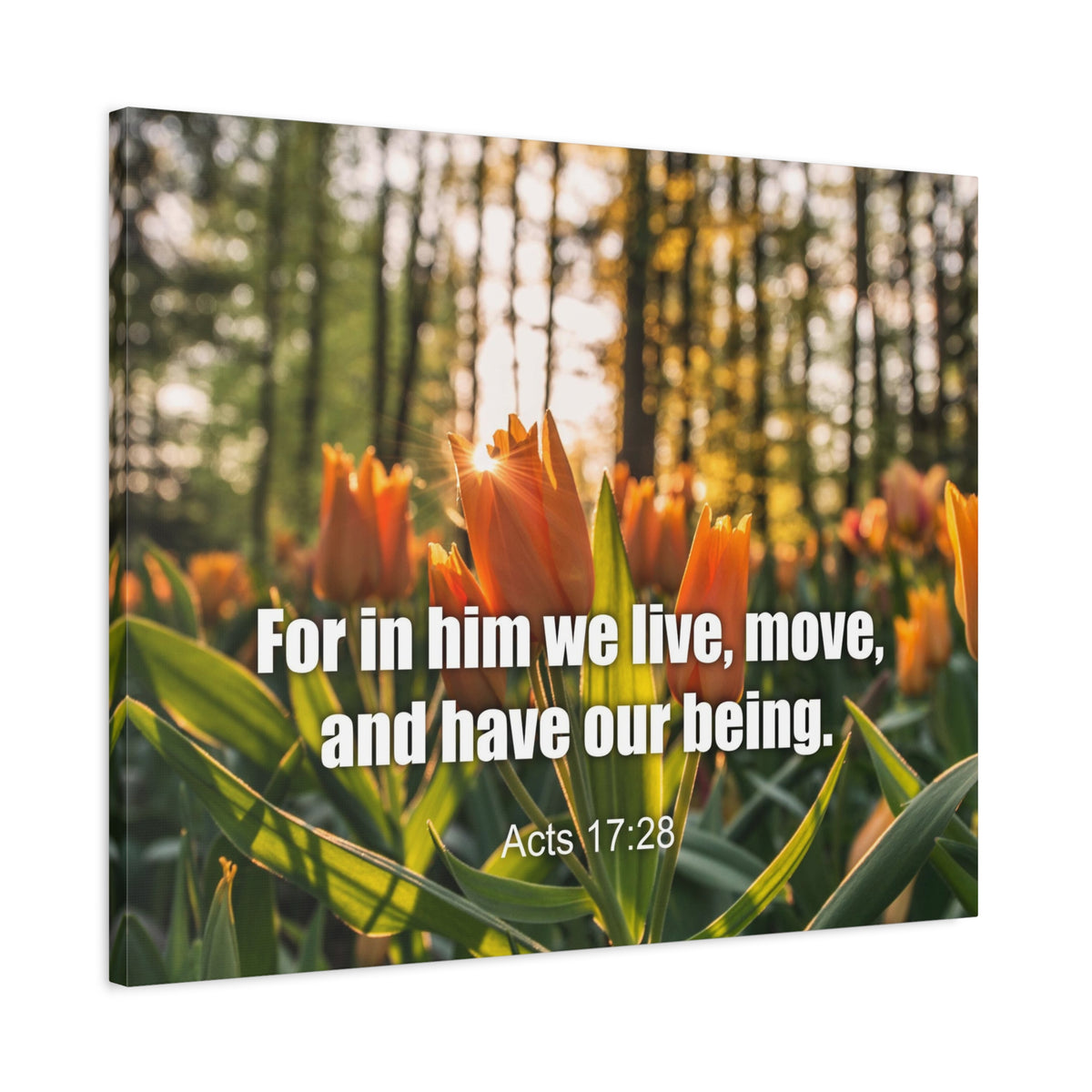 Scripture Canvas Our Being Acts 17:28 Christian Wall Art Bible Verse Print Ready to Hang