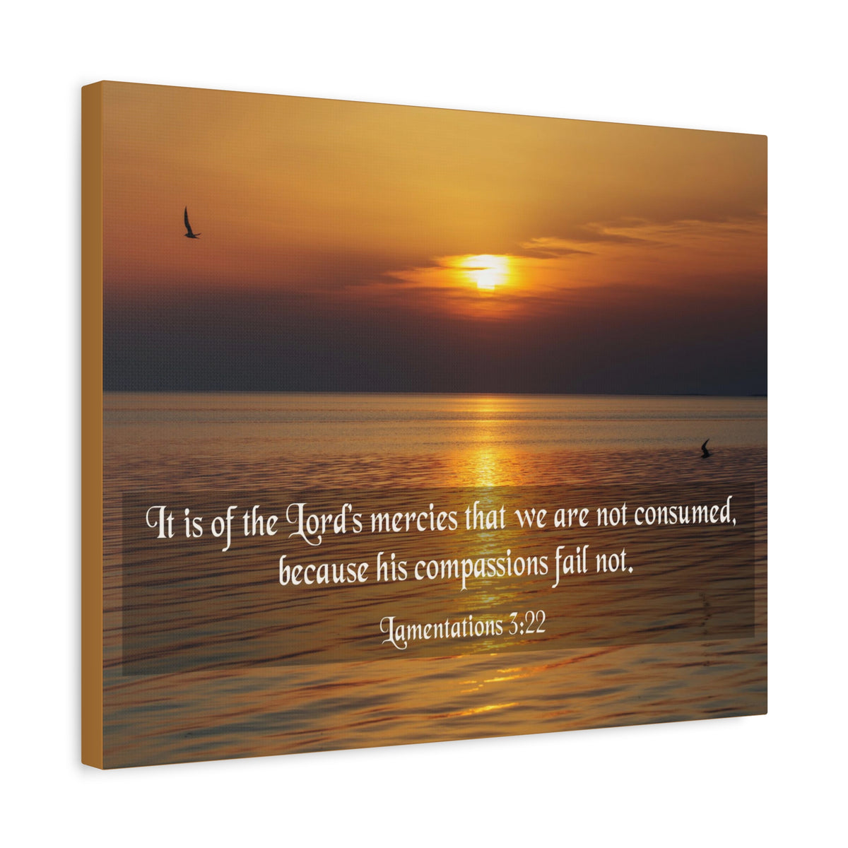 Scripture Canvas Lord's Mercies Lamentations 3:22 Christian Wall Art Bible Verse Print Ready to Hang