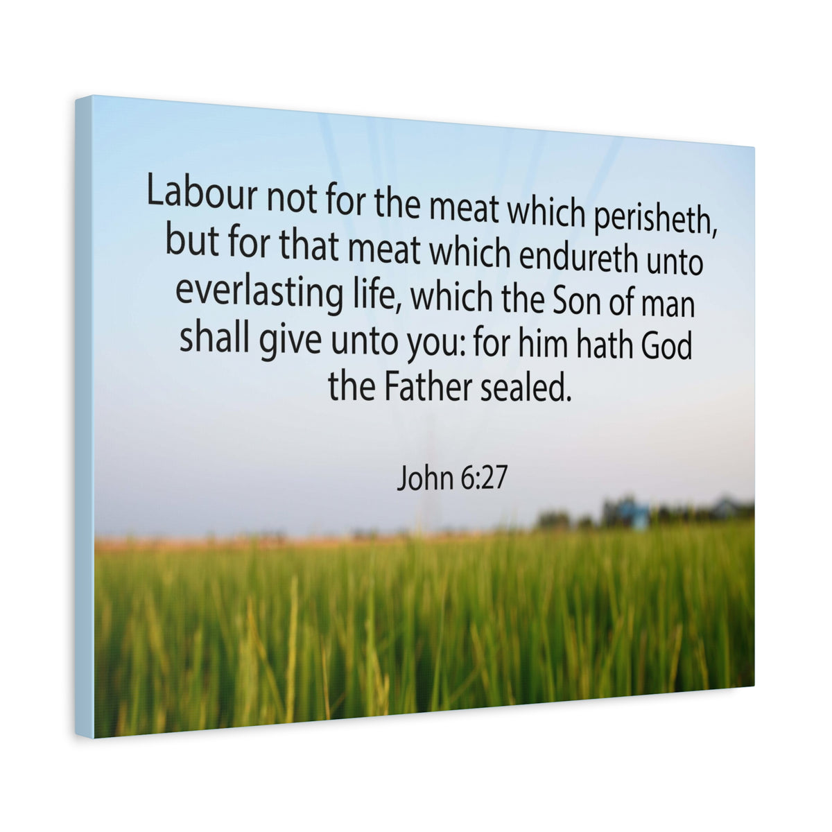 Scripture Canvas Labour Not For The Meat John 6:27 Christian Wall Art Bible Verse Print Ready to Hang