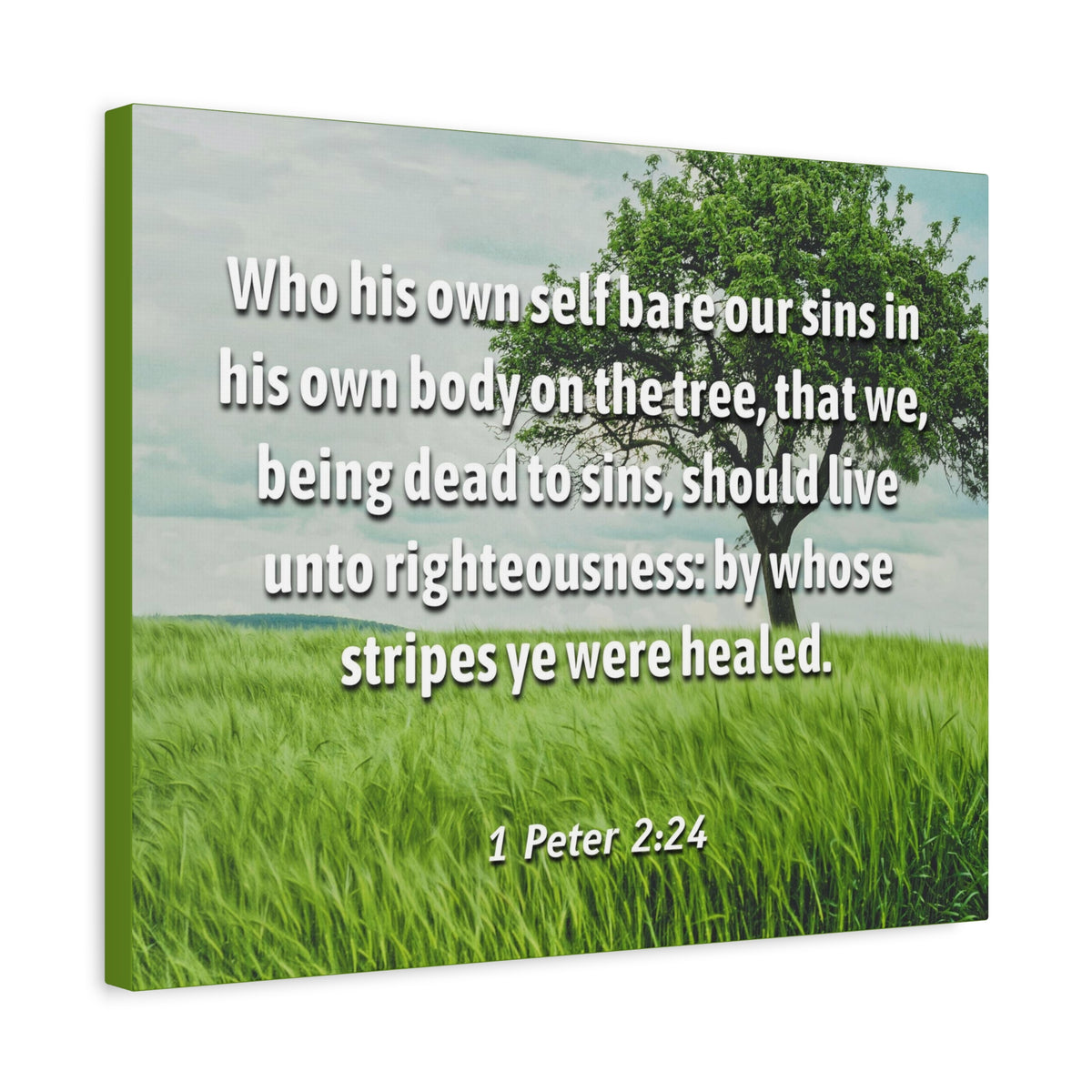 Scripture Canvas Live Unto Righteousness 1 Peter 2:24 Christian Wall Art Bible Verse Print Ready to Hang