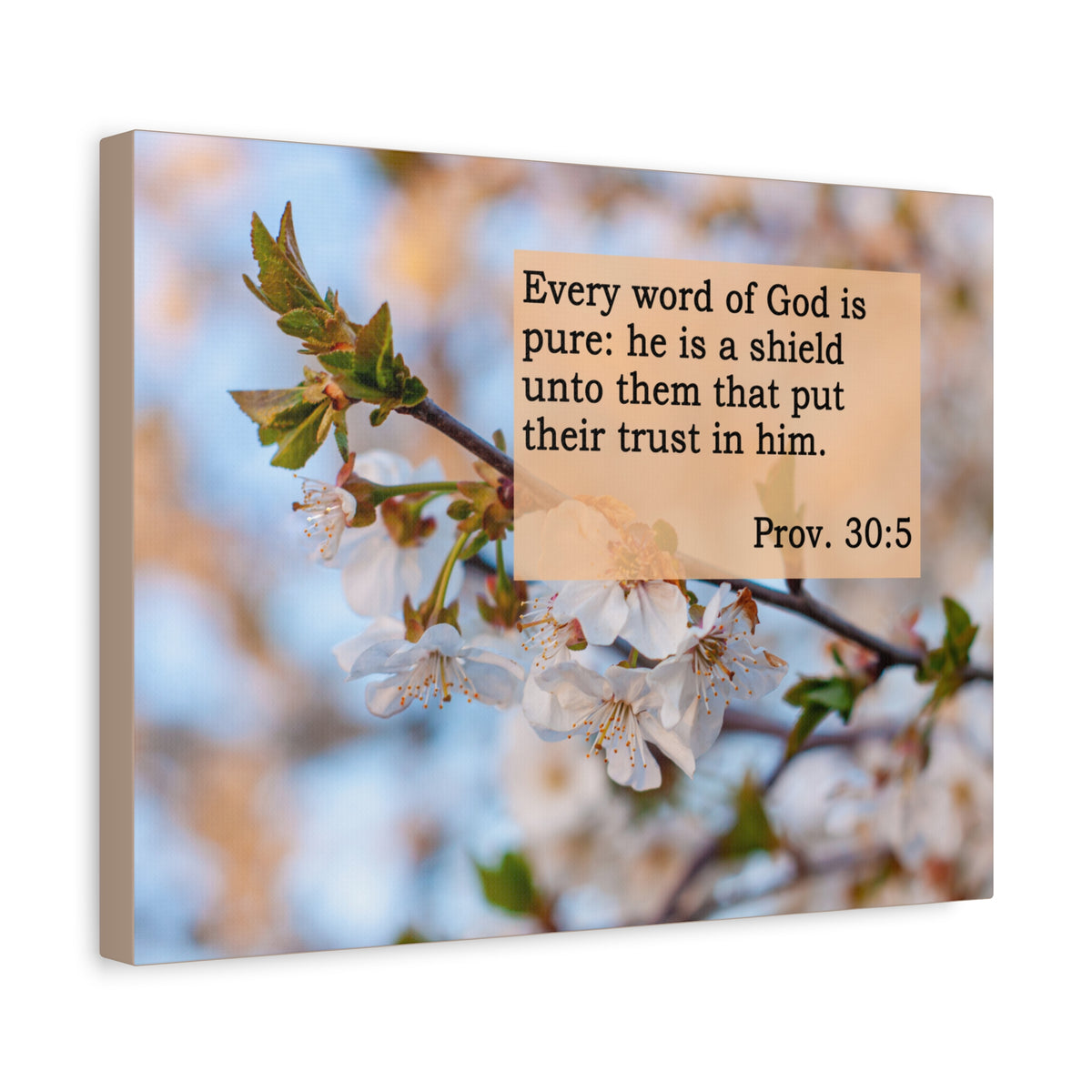Scripture Canvas He Is A Shield Proverbs 30:5 Christian Wall Art Bible Verse Print Ready to Hang