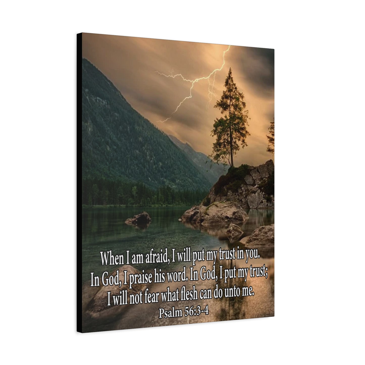 Scripture Canvas I Put My Trust in You Psalm 56:3-4 Christian Wall Art Bible Verse Print Ready to Hang