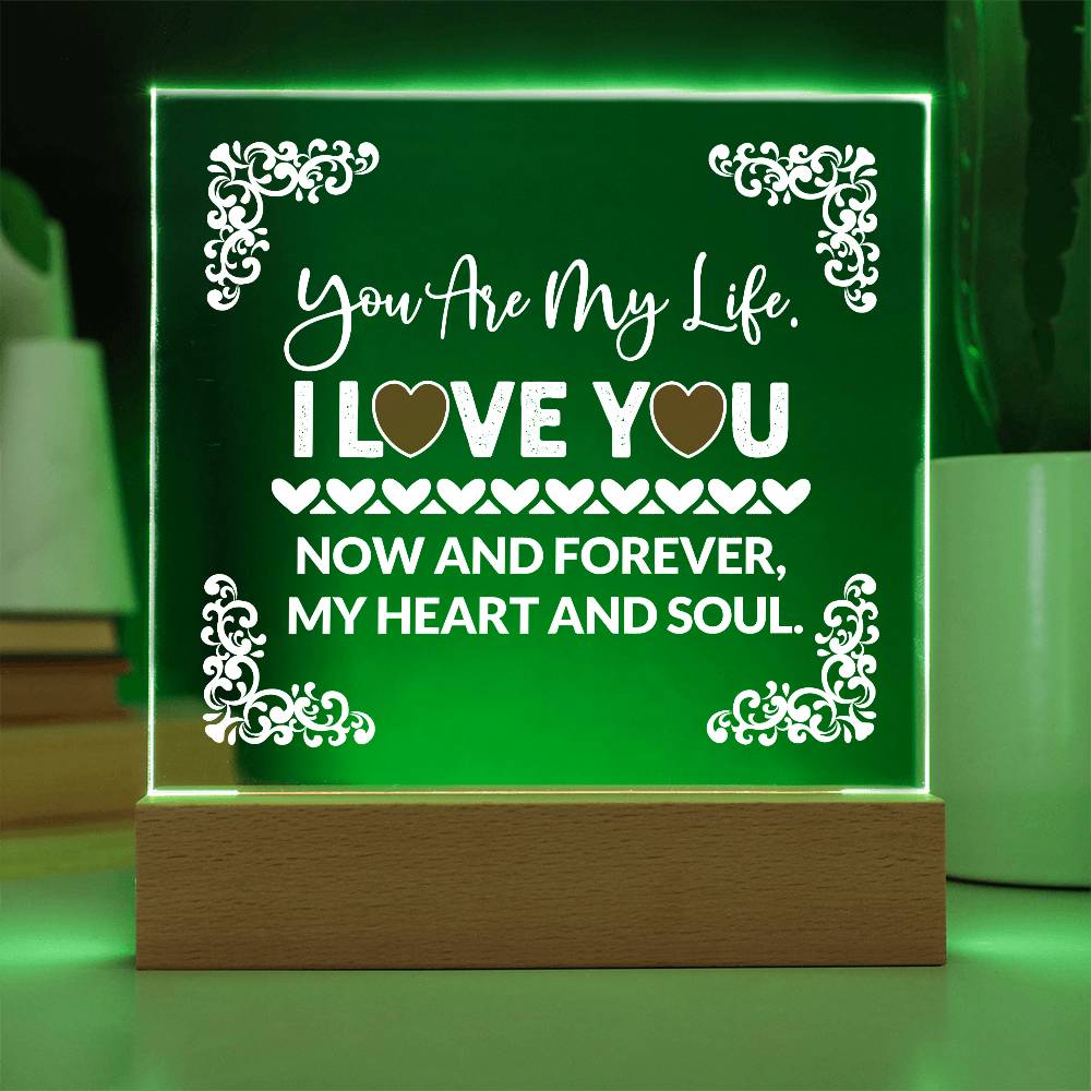 You Are My Life Printed Square Shaped Acrylic Plaque