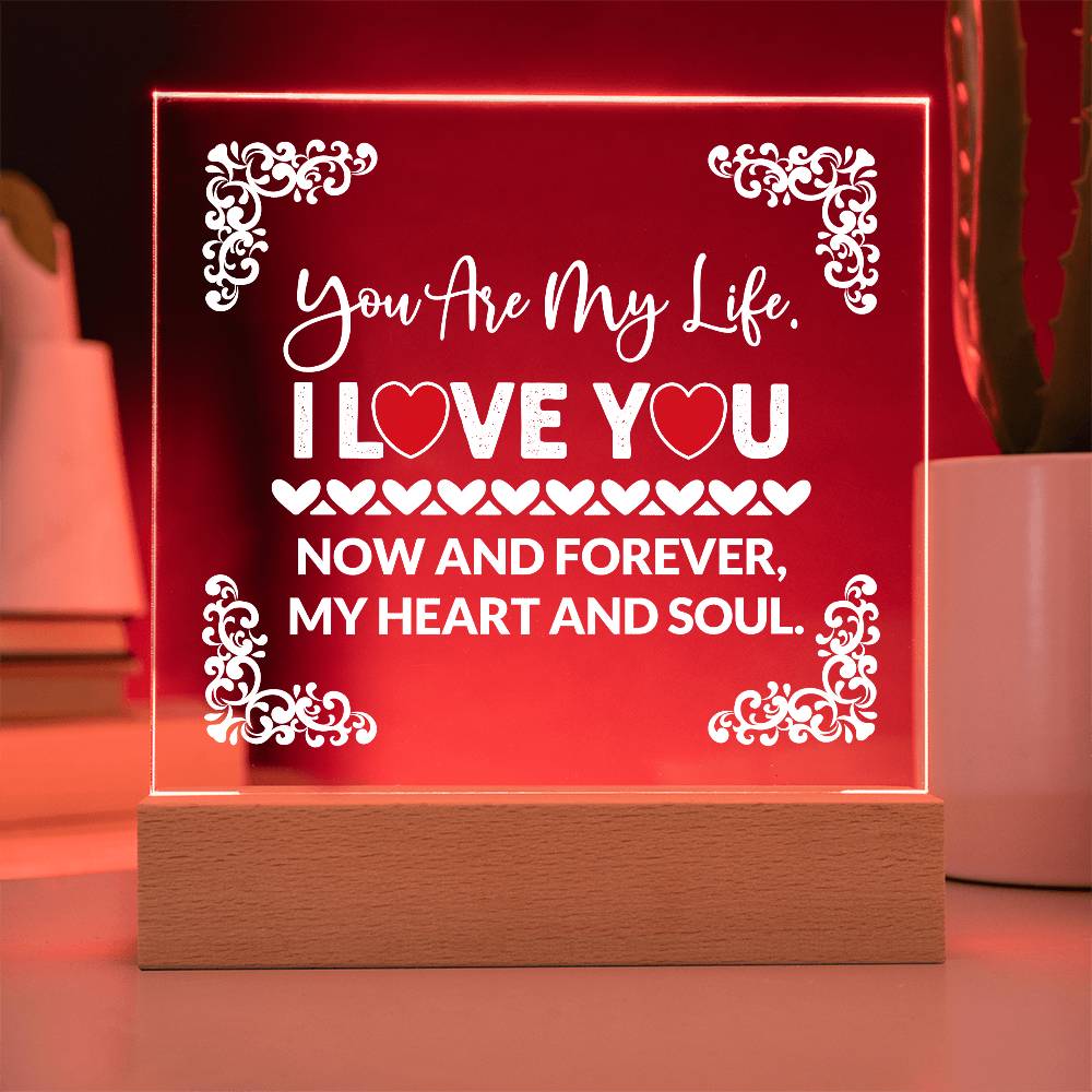 You Are My Life Printed Square Shaped Acrylic Plaque