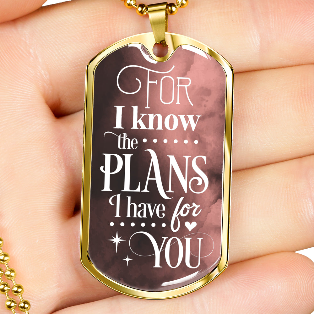God Knows Your Plans Jeremiah 29:11 Necklace Stainless Steel or 18k Gold Dog Tag 24" Chain-Express Your Love Gifts