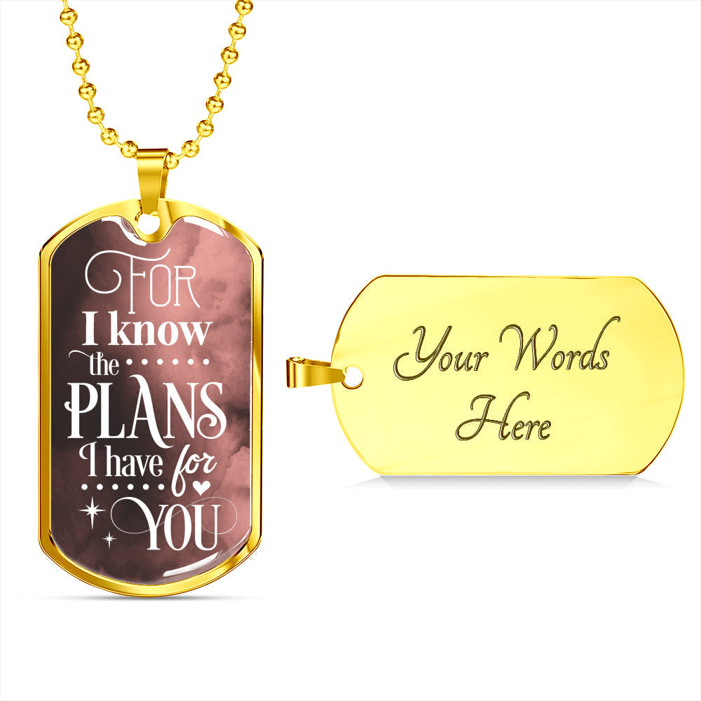 God Knows Your Plans Jeremiah 29:11 Necklace Stainless Steel or 18k Gold Dog Tag 24" Chain-Express Your Love Gifts