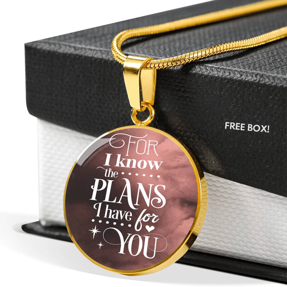 Plans I Have For You Jeremiah Circle Necklace Stainless Steel or 18k Gold 18-22"-Express Your Love Gifts