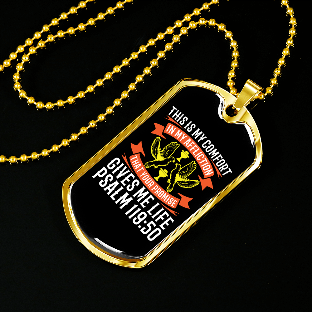 Promise Gives Life Christian Necklace Stainless Steel or 18k Gold Dog Tag 24" Chain-Express Your Love Gifts