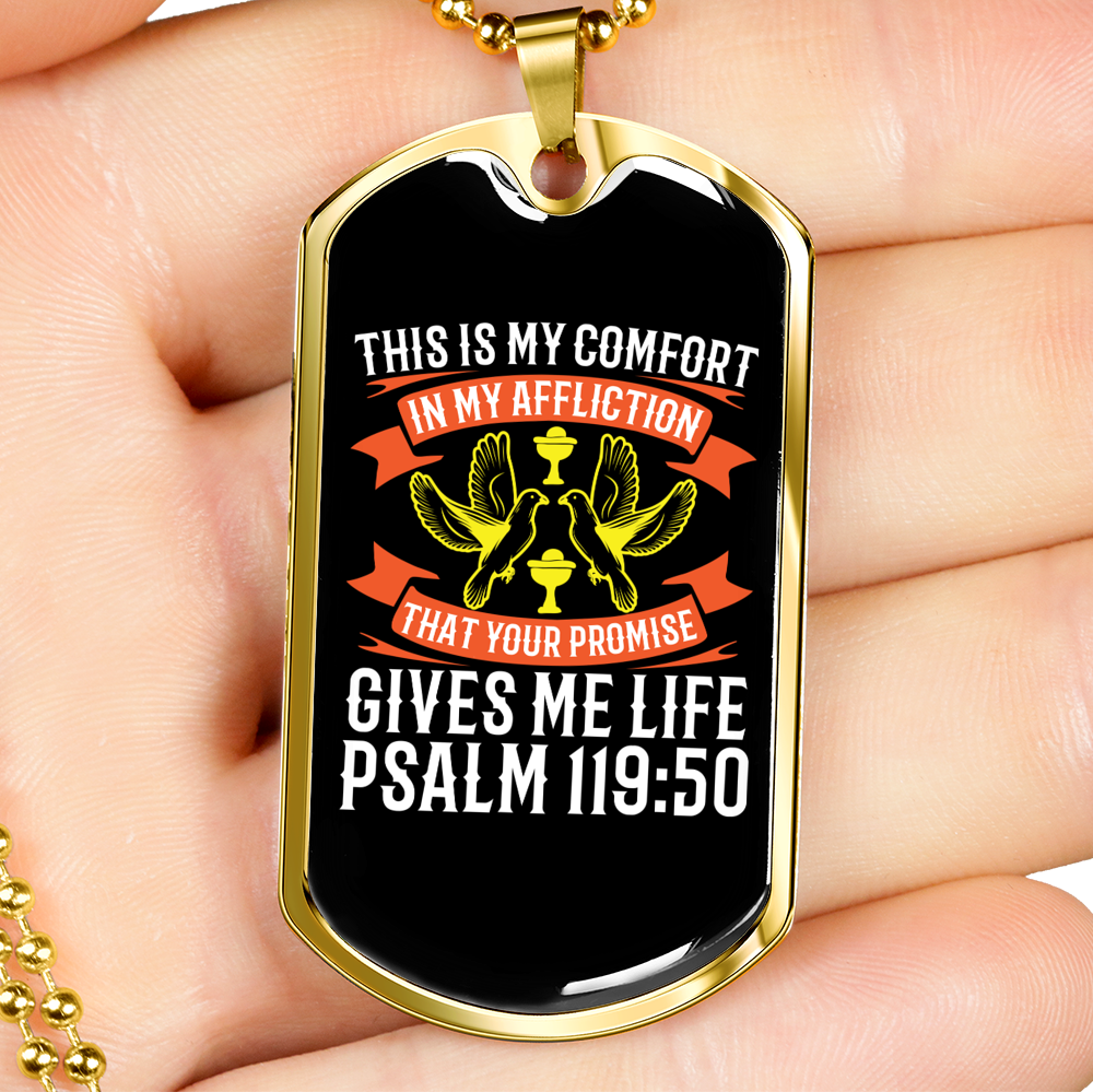 Promise Gives Life Christian Necklace Stainless Steel or 18k Gold Dog Tag 24" Chain-Express Your Love Gifts