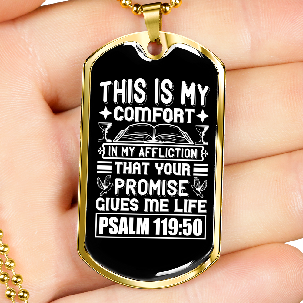 Promise Gives Me Life Christian Necklace Stainless Steel or 18k Gold Dog Tag 24" Chain-Express Your Love Gifts
