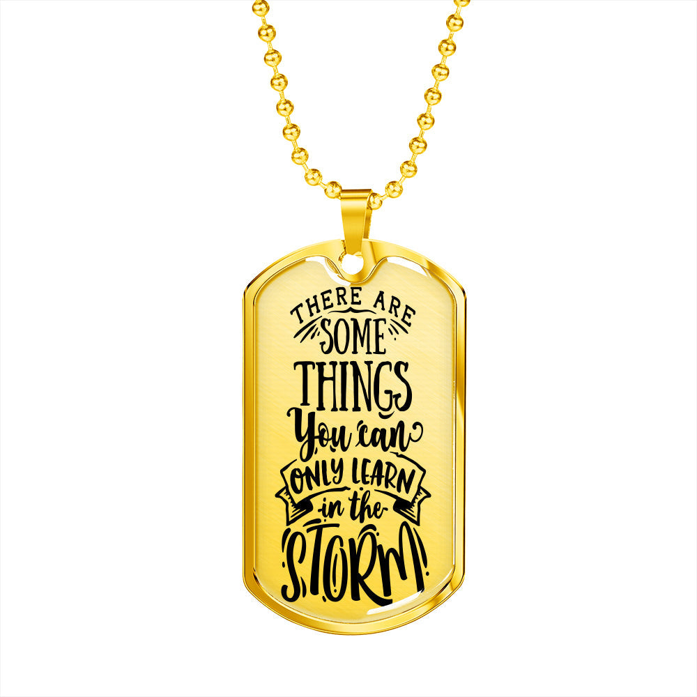 Some Things In The Storm Necklace Stainless Steel or 18k Gold Dog Tag 24" Chain-Express Your Love Gifts