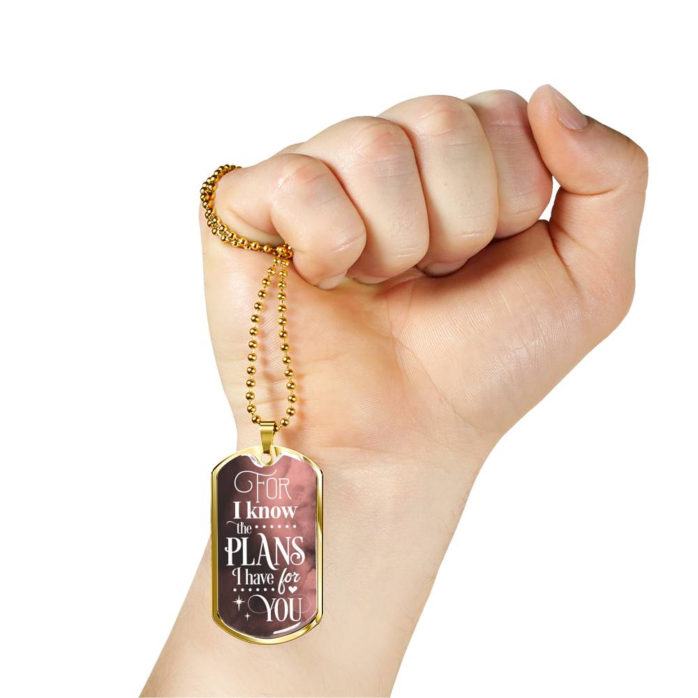 The Plans I Have For You Jeremiah Stainless Steel or 18k Gold Dog Tag 24"-Express Your Love Gifts