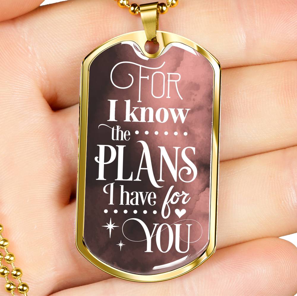 The Plans I Have For You Jeremiah Stainless Steel or 18k Gold Dog Tag 24"-Express Your Love Gifts