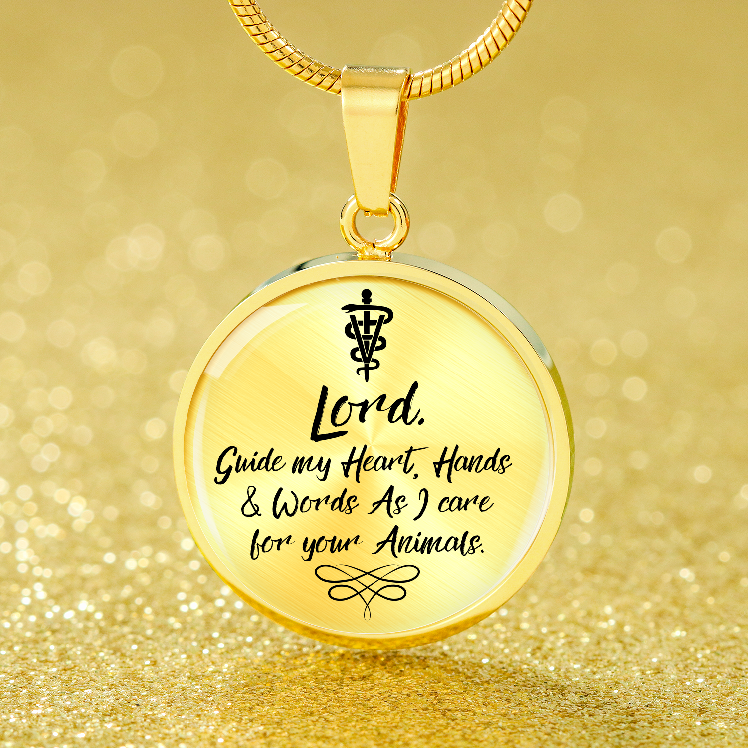 Veterinarians Prayer Caduceus Stainless Steel or 18k Gold Circle Bangle Bracelet - Express Your Love Gifts