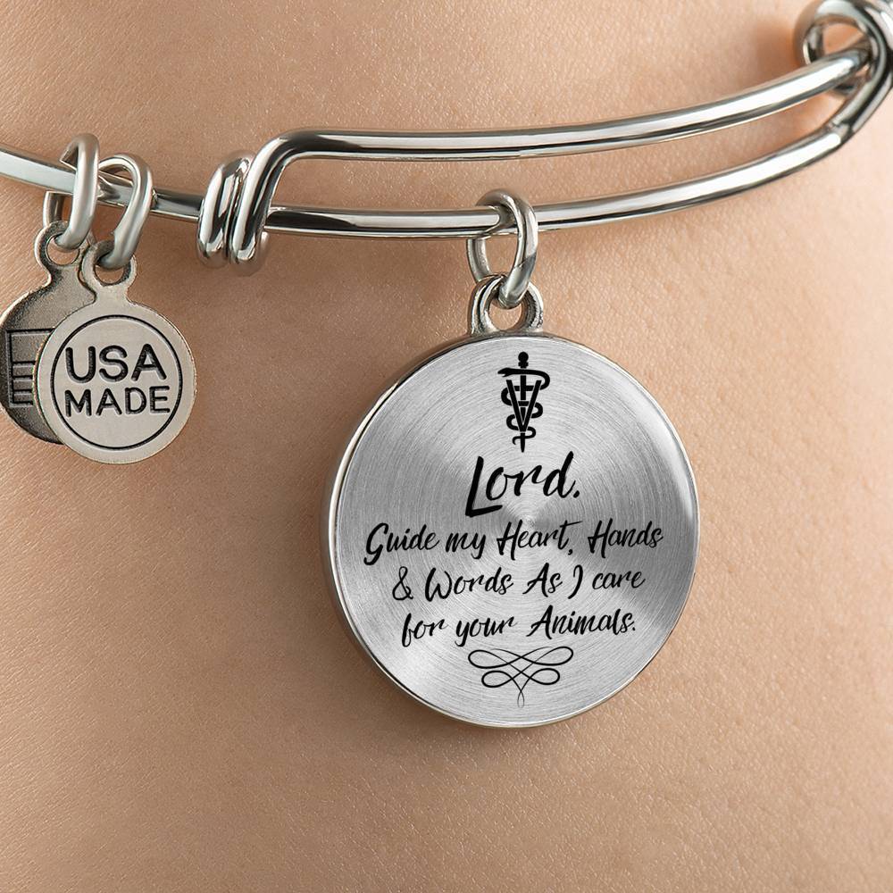 Veterinarians Prayer Caduceus Stainless Steel or 18k Gold Circle Bangle Bracelet - Express Your Love Gifts