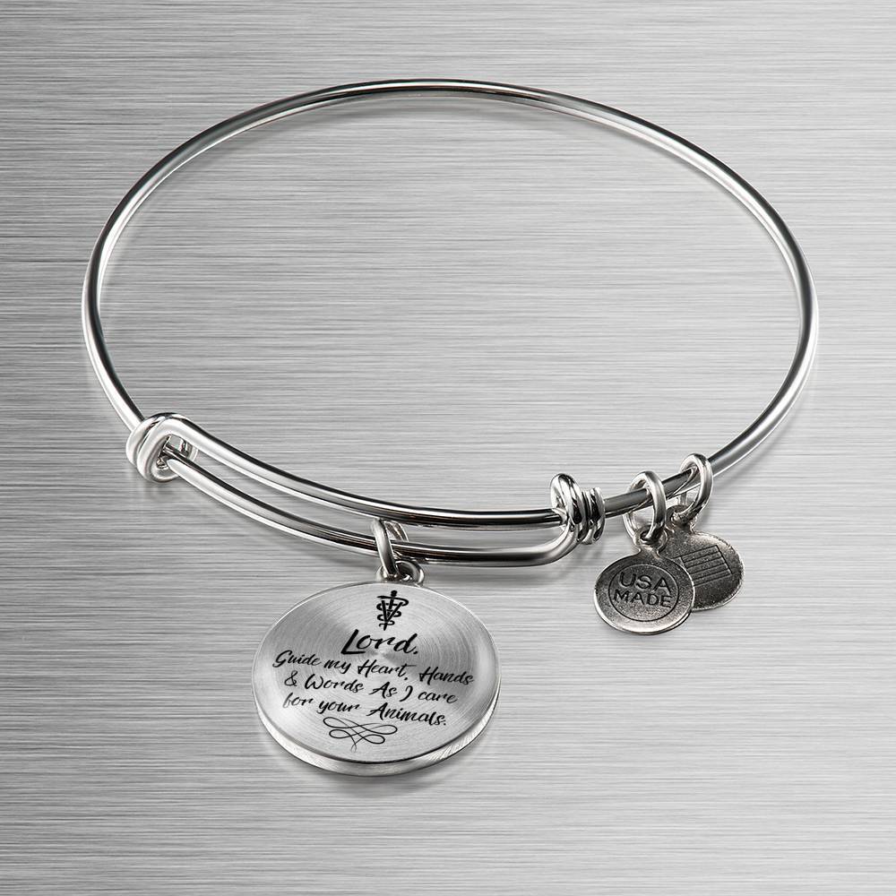 Veterinarians Prayer Caduceus Stainless Steel or 18k Gold Circle Bangle Bracelet - Express Your Love Gifts
