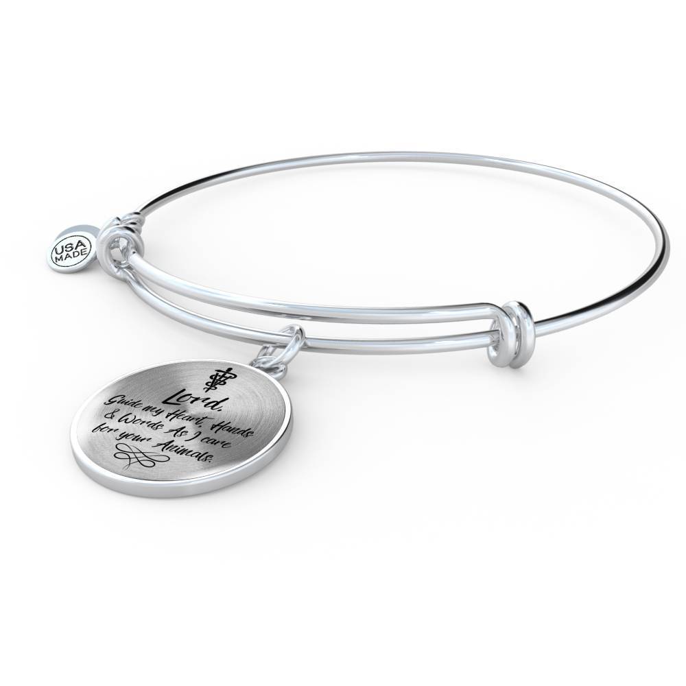 Veterinarians Prayer Caduceus Stainless Steel or 18k Gold Circle Bangle Bracelet - Express Your Love Gifts