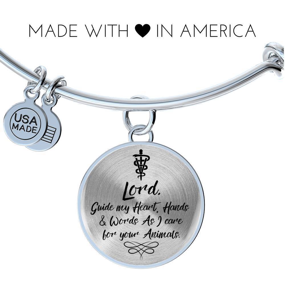 Veterinarians Prayer Caduceus Stainless Steel or 18k Gold Circle Bangle Bracelet - Express Your Love Gifts