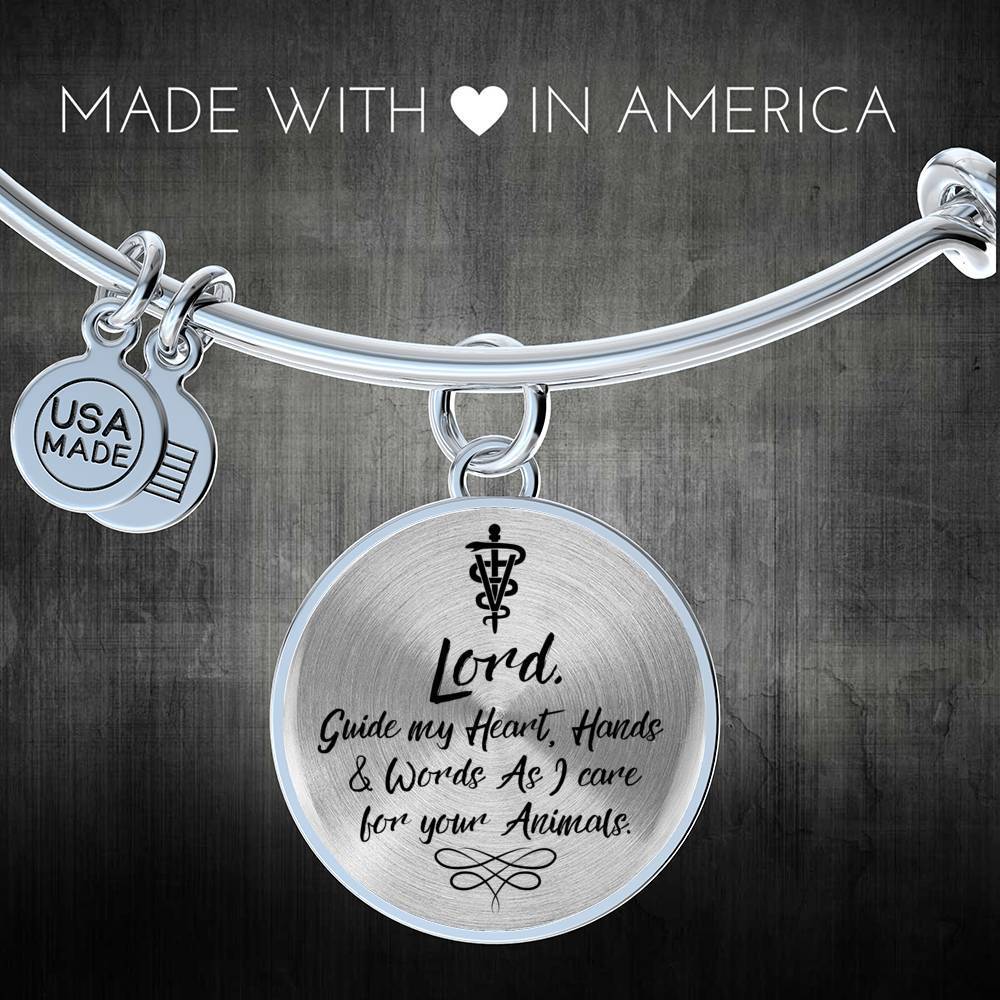 Veterinarians Prayer Caduceus Stainless Steel or 18k Gold Circle Bangle Bracelet - Express Your Love Gifts