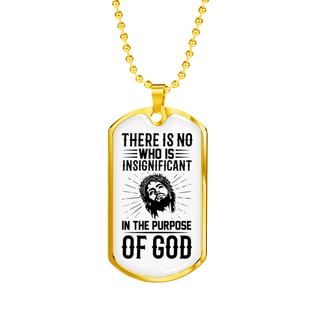 Who Is Insignicaficant Christian Necklace Stainless Steel or 18k Gold Dog Tag 24" Chain-Express Your Love Gifts