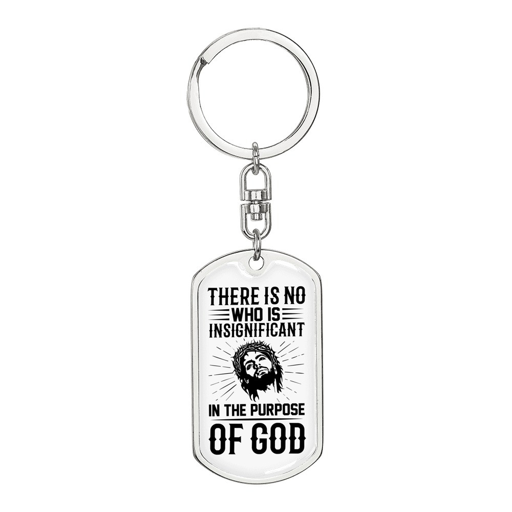 Who Is Insignicaficant Keychain Stainless Steel or 18k Gold Dog Tag Keyring-Express Your Love Gifts