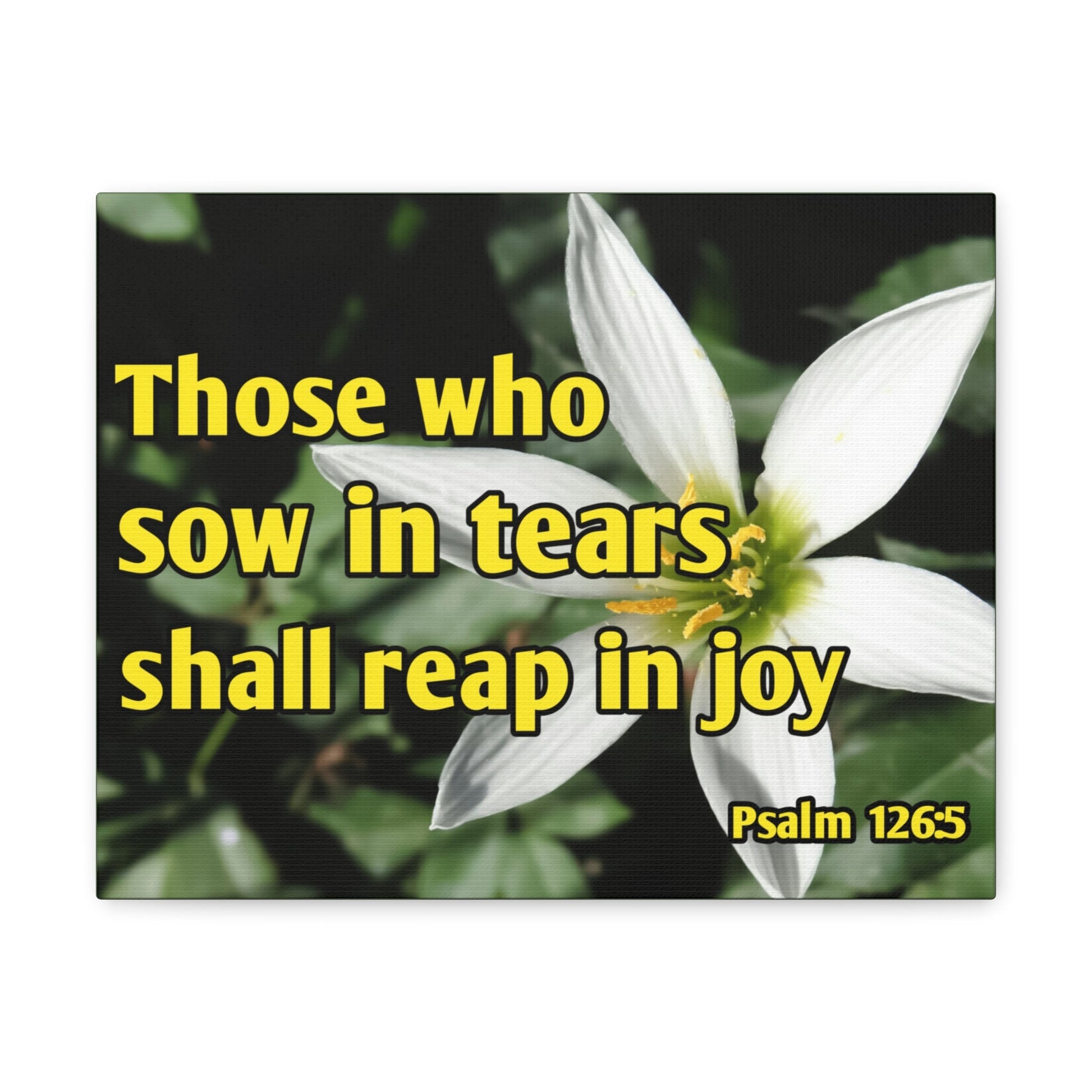 Shall Reap In Joy Psalm 126:5 Bible Verse Canvas Christian Wall Art Ready to Hang-Express Your Love Gifts
