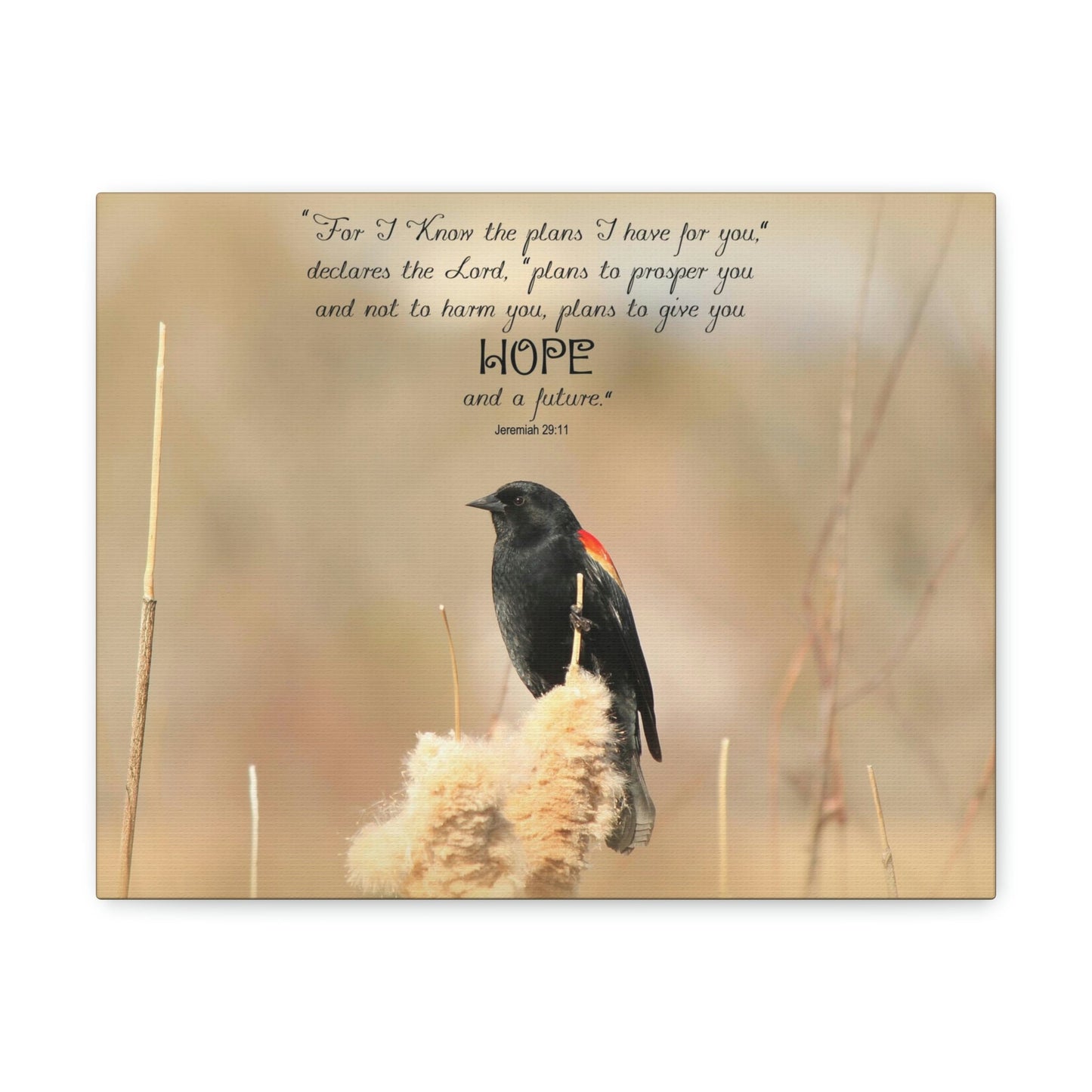 Scripture Walls Hope And A Future Jeremiah 29:11 Bible Verse Canvas Christian Wall Art Bible Verse Print Ready To Hang Unframed-Express Your Love Gifts