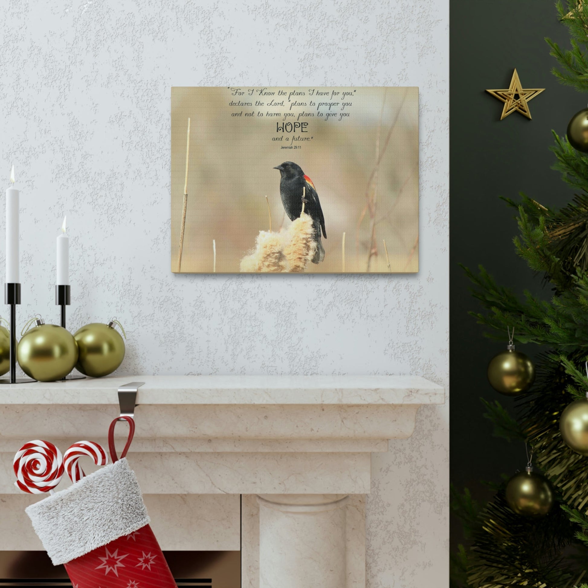 Scripture Walls Hope And A Future Jeremiah 29:11 Bible Verse Canvas Christian Wall Art Bible Verse Print Ready To Hang Unframed-Express Your Love Gifts