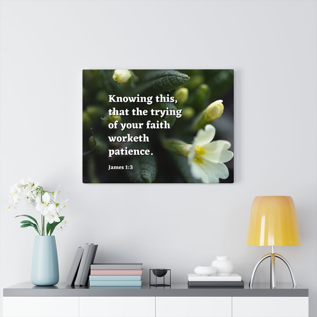Patience James 1:3 Bible Verse Canvas Christian Wall Art Ready to Hang Unframed-Express Your Love Gifts