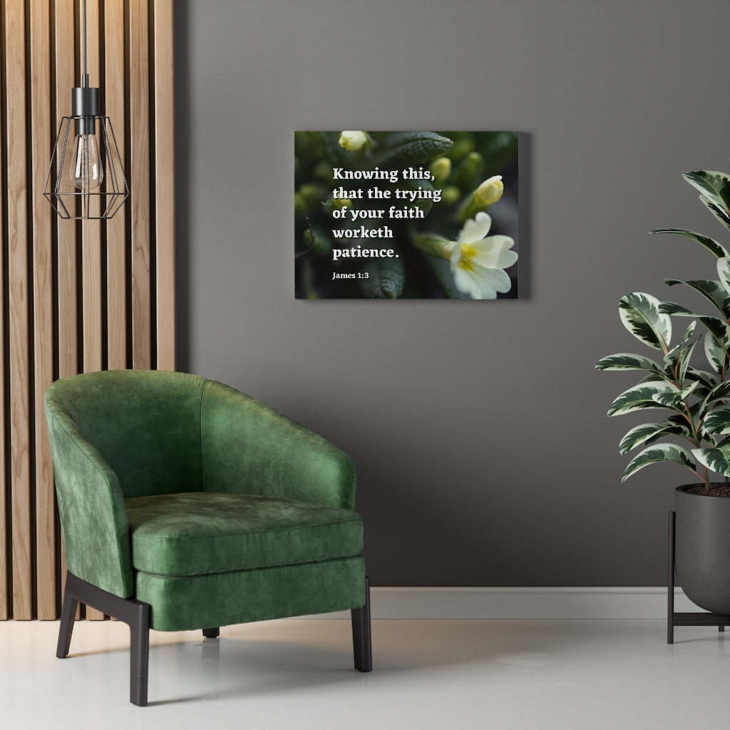 Patience James 1:3 Bible Verse Canvas Christian Wall Art Ready to Hang Unframed-Express Your Love Gifts
