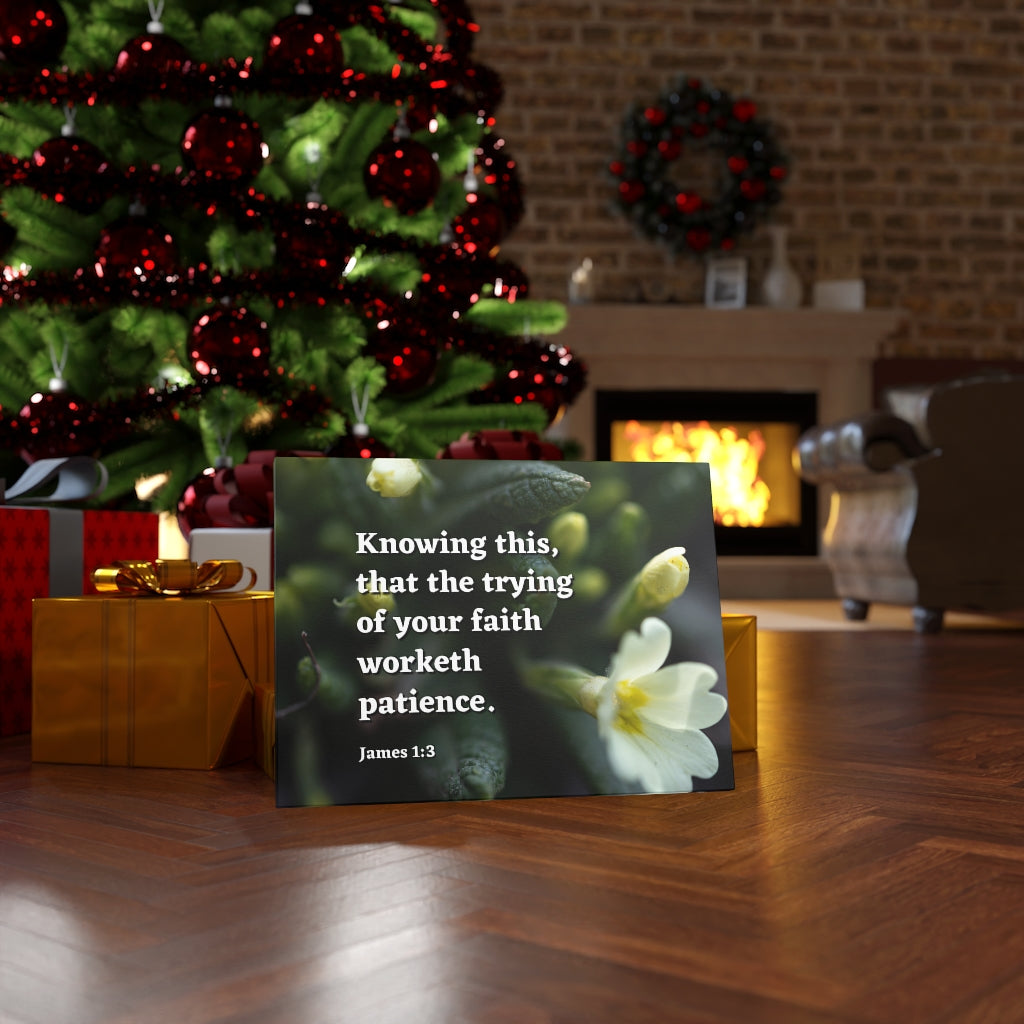 Patience James 1:3 Bible Verse Canvas Christian Wall Art Ready to Hang Unframed-Express Your Love Gifts