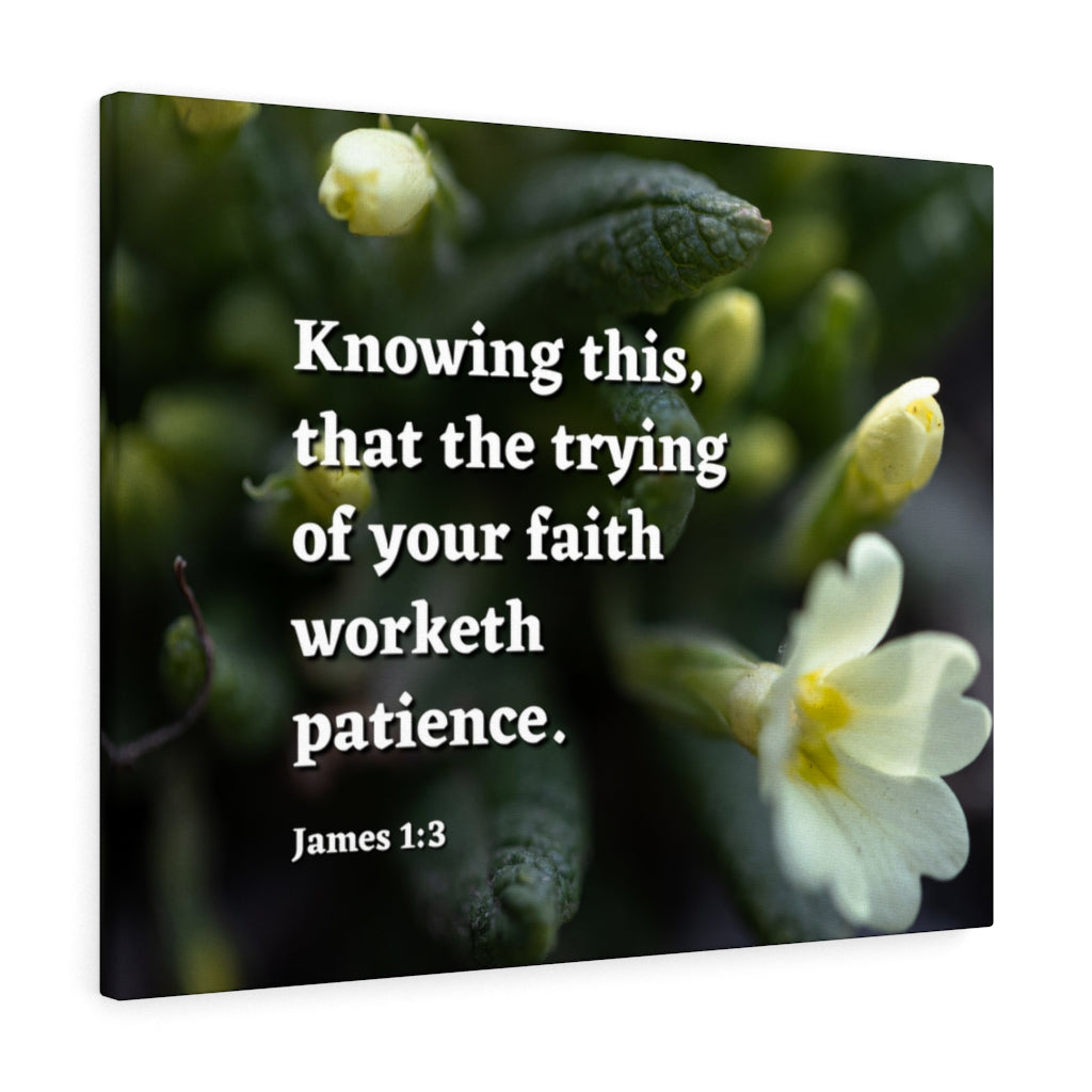 Patience James 1:3 Bible Verse Canvas Christian Wall Art Ready to Hang Unframed-Express Your Love Gifts