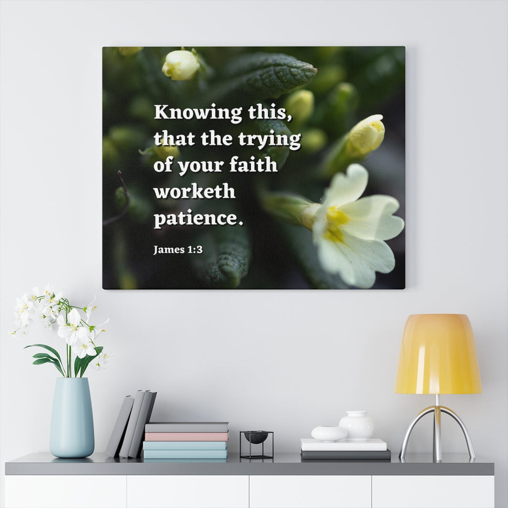 Patience James 1:3 Bible Verse Canvas Christian Wall Art Ready to Hang Unframed-Express Your Love Gifts