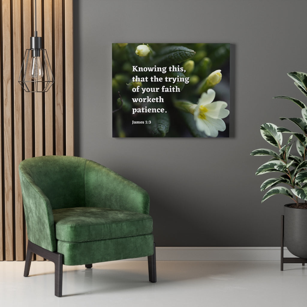 Patience James 1:3 Bible Verse Canvas Christian Wall Art Ready to Hang Unframed-Express Your Love Gifts