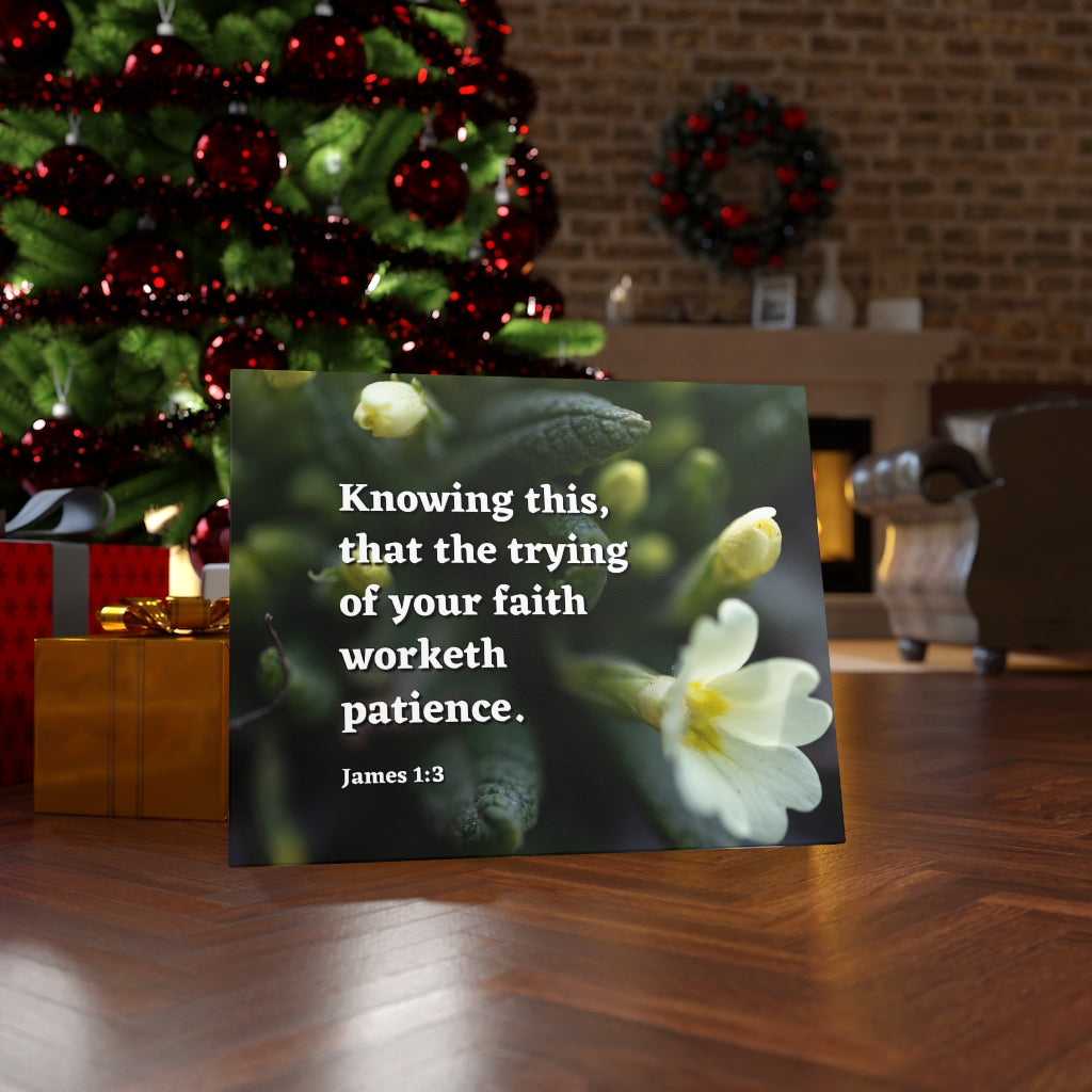 Patience James 1:3 Bible Verse Canvas Christian Wall Art Ready to Hang Unframed-Express Your Love Gifts