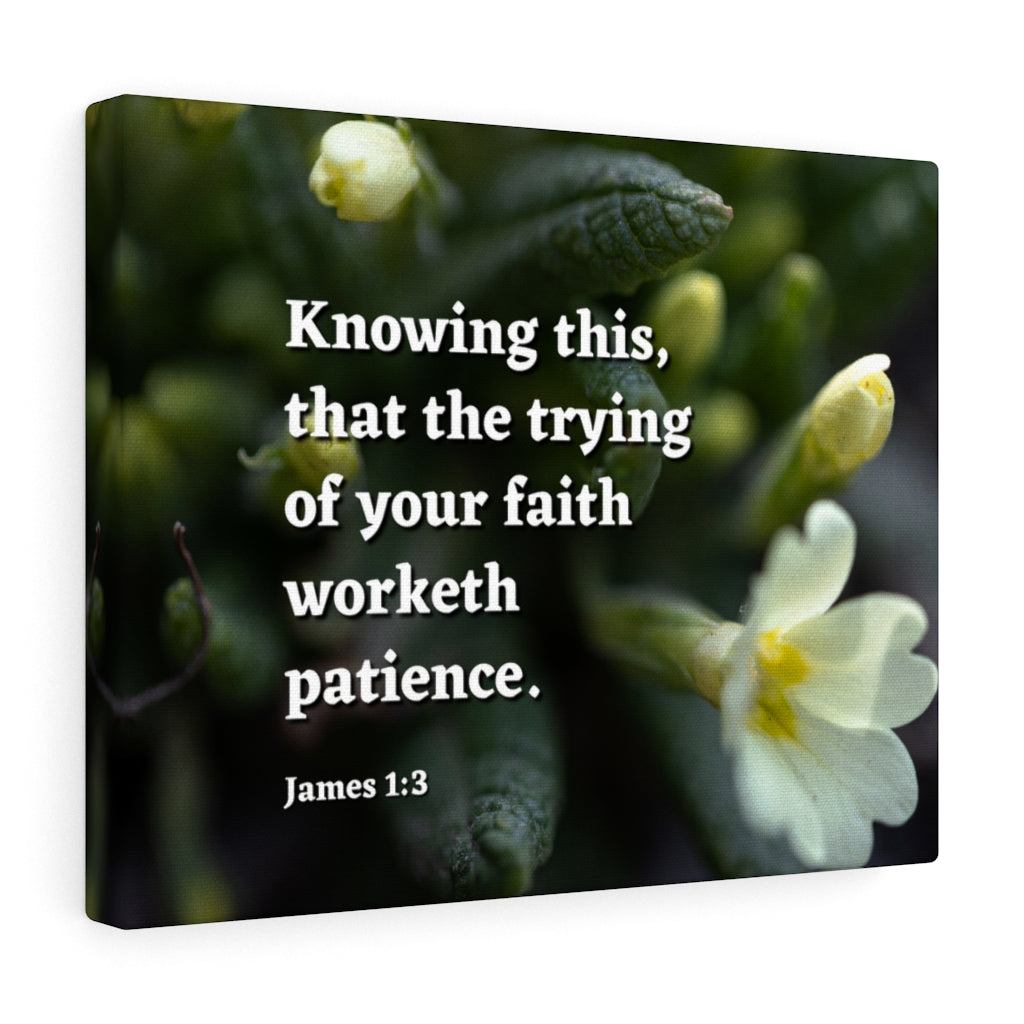 Patience James 1:3 Bible Verse Canvas Christian Wall Art Ready to Hang Unframed-Express Your Love Gifts