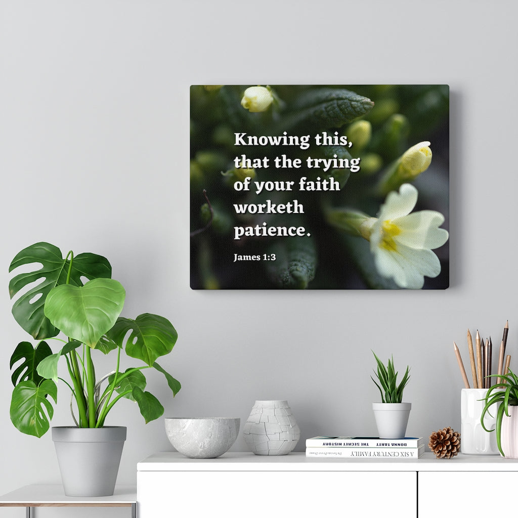 Patience James 1:3 Bible Verse Canvas Christian Wall Art Ready to Hang Unframed-Express Your Love Gifts