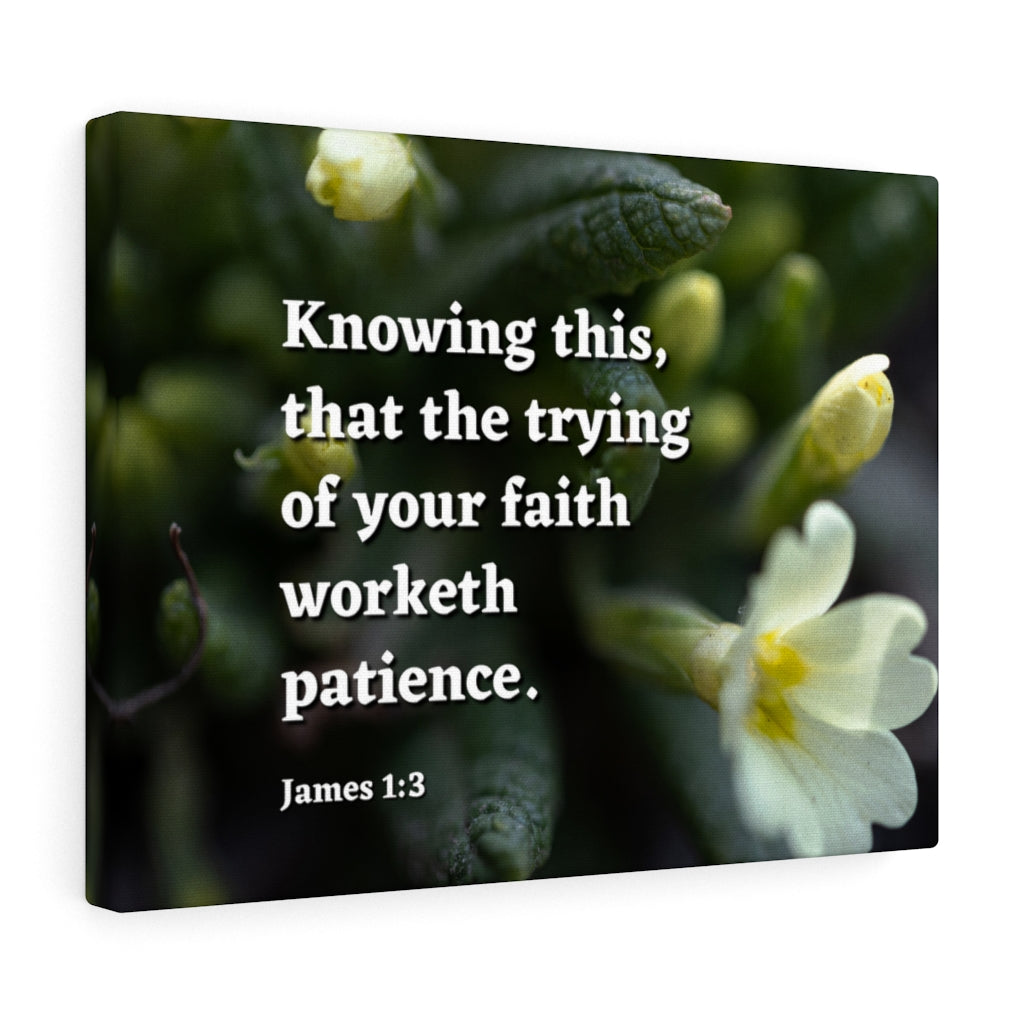 Patience James 1:3 Bible Verse Canvas Christian Wall Art Ready to Hang Unframed-Express Your Love Gifts