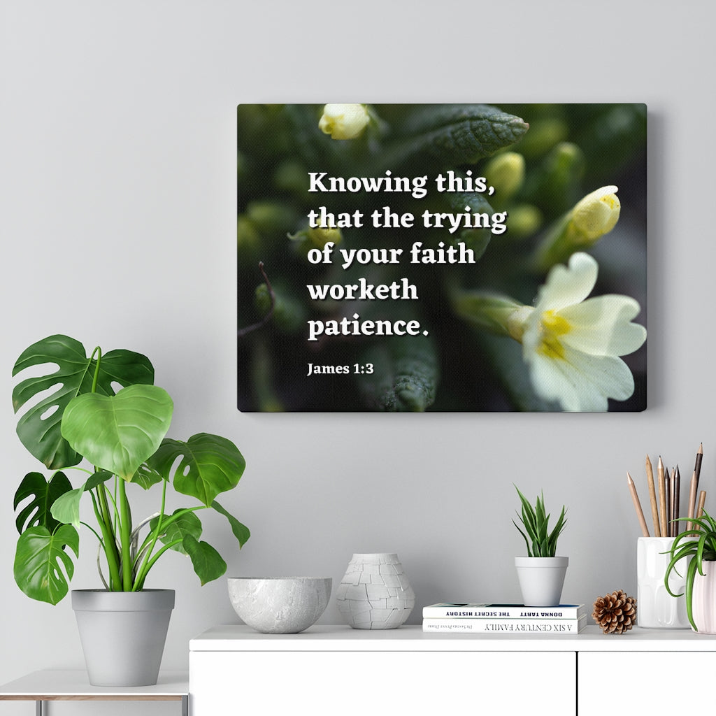 Patience James 1:3 Bible Verse Canvas Christian Wall Art Ready to Hang Unframed-Express Your Love Gifts