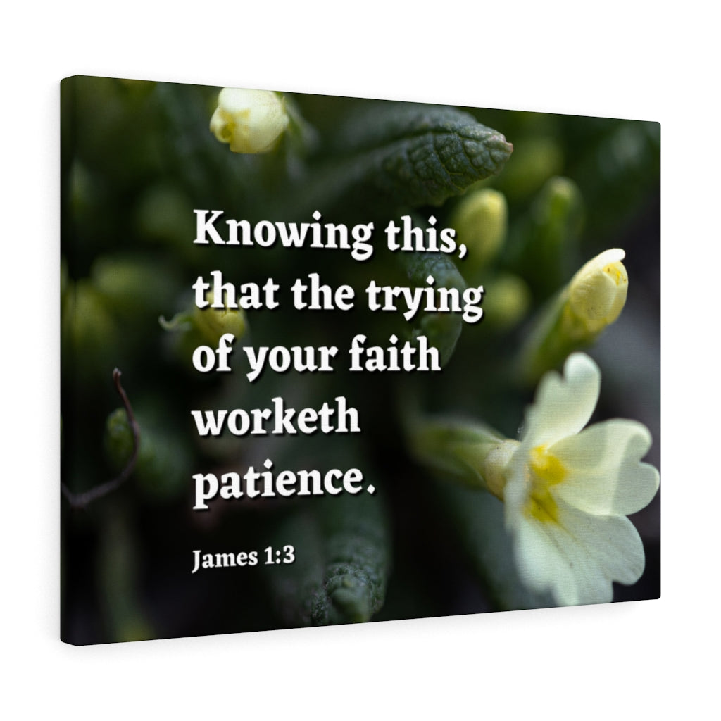 Patience James 1:3 Bible Verse Canvas Christian Wall Art Ready to Hang Unframed-Express Your Love Gifts