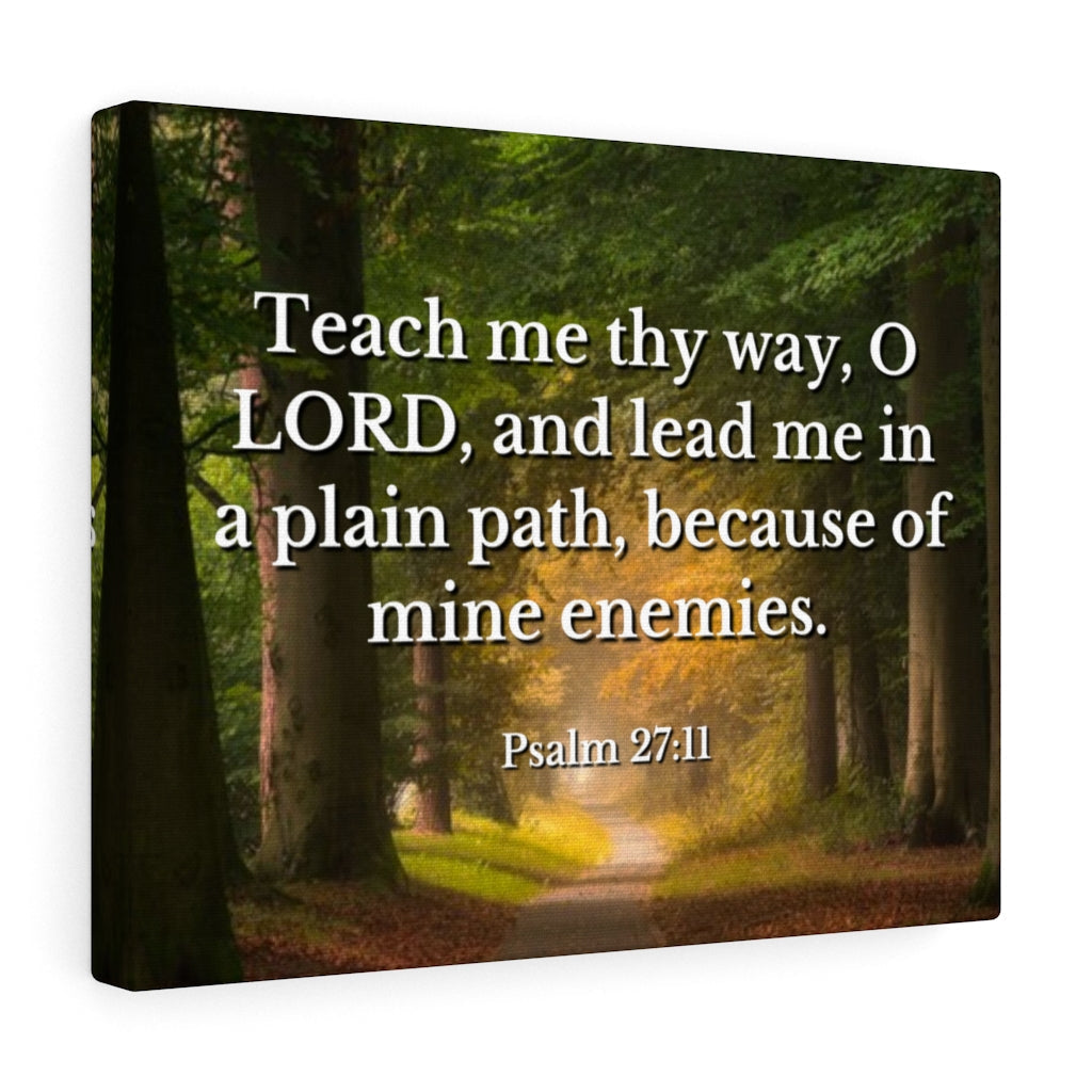 Plain Path Psalm 27:11 Bible Verse Canvas Christian Wall Art Ready to Hang Unframed-Express Your Love Gifts
