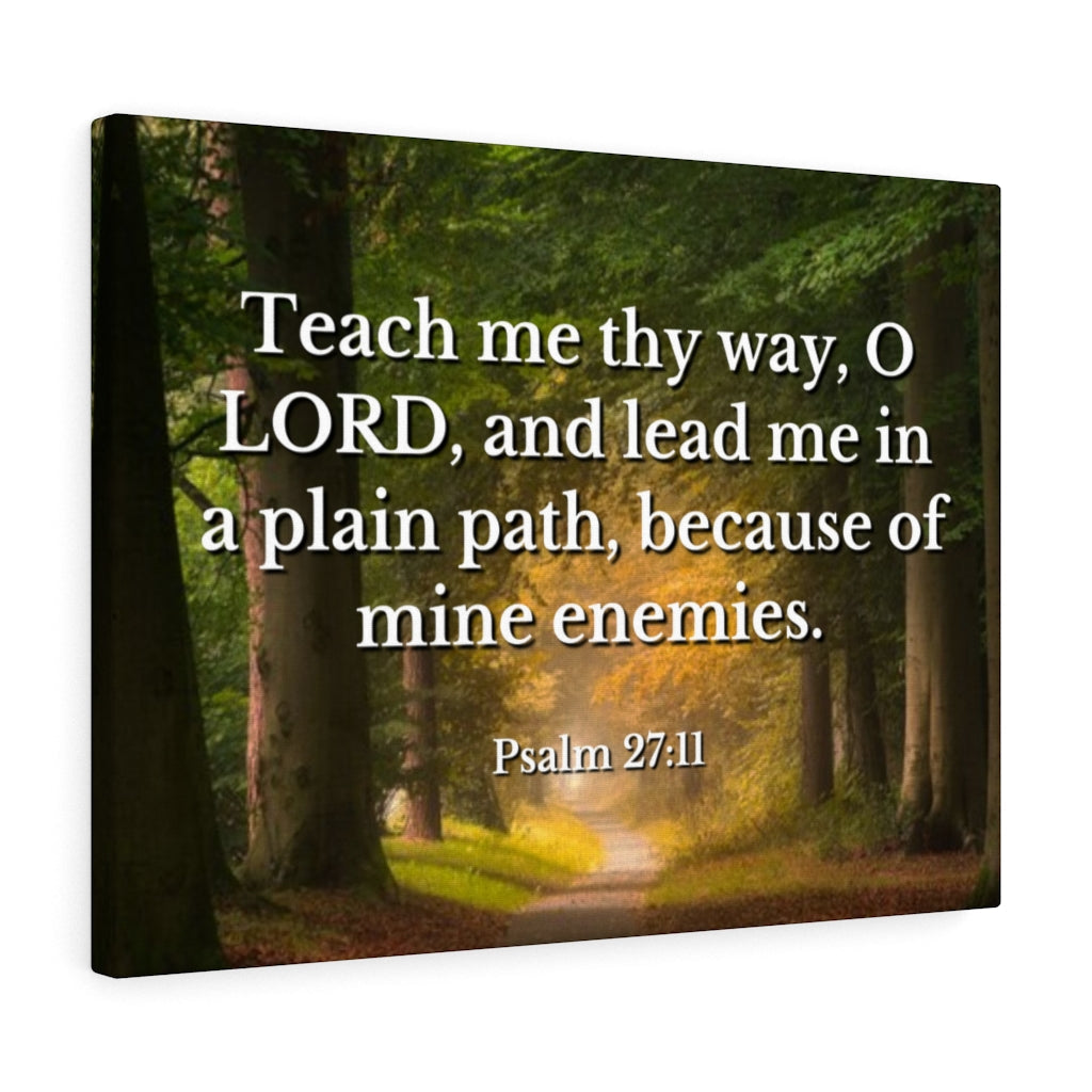 Plain Path Psalm 27:11 Bible Verse Canvas Christian Wall Art Ready to Hang Unframed-Express Your Love Gifts
