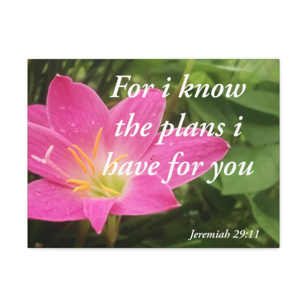 Plans I Have Jeremiah 29:11 Bible Verse Canvas Christian Wall Art Ready to Hang Unframed-Express Your Love Gifts