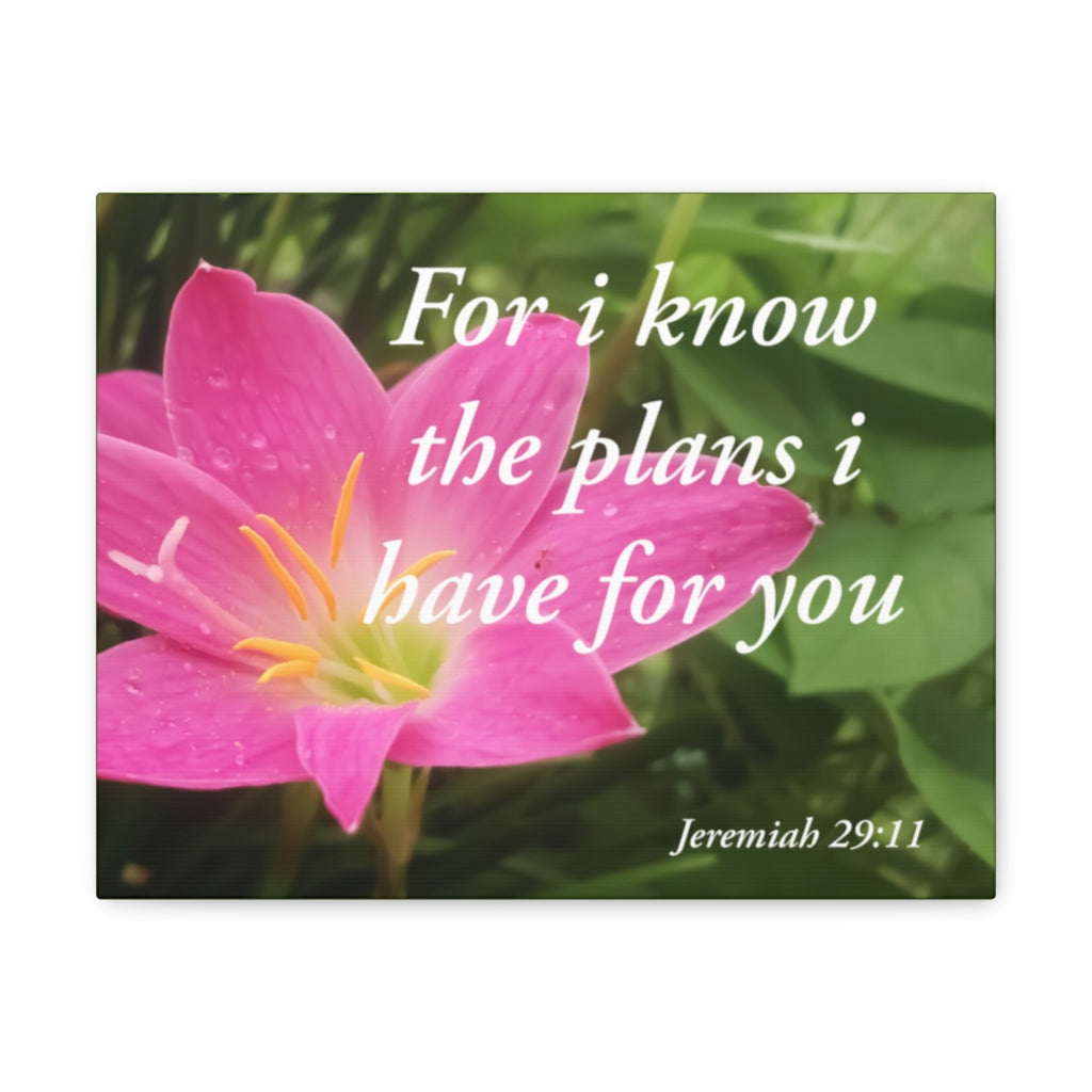 Plans I Have Jeremiah 29:11 Bible Verse Canvas Christian Wall Art Ready to Hang Unframed-Express Your Love Gifts