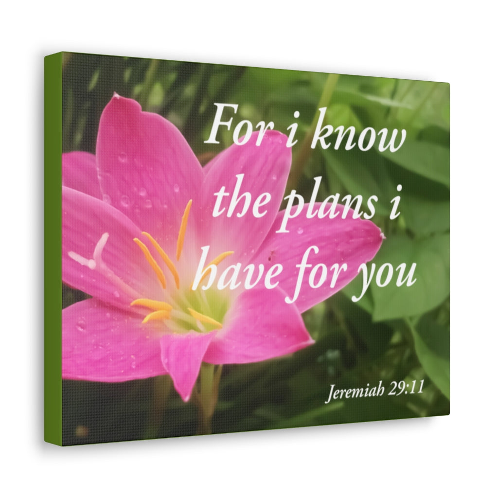 Plans I Have Jeremiah 29:11 Bible Verse Canvas Christian Wall Art Ready to Hang Unframed-Express Your Love Gifts