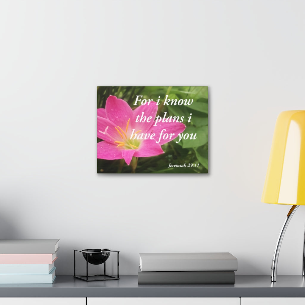 Plans I Have Jeremiah 29:11 Bible Verse Canvas Christian Wall Art Ready to Hang Unframed-Express Your Love Gifts